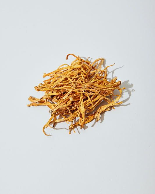 Cordyceps: The Fungal Elixir of Vitality and Stamina