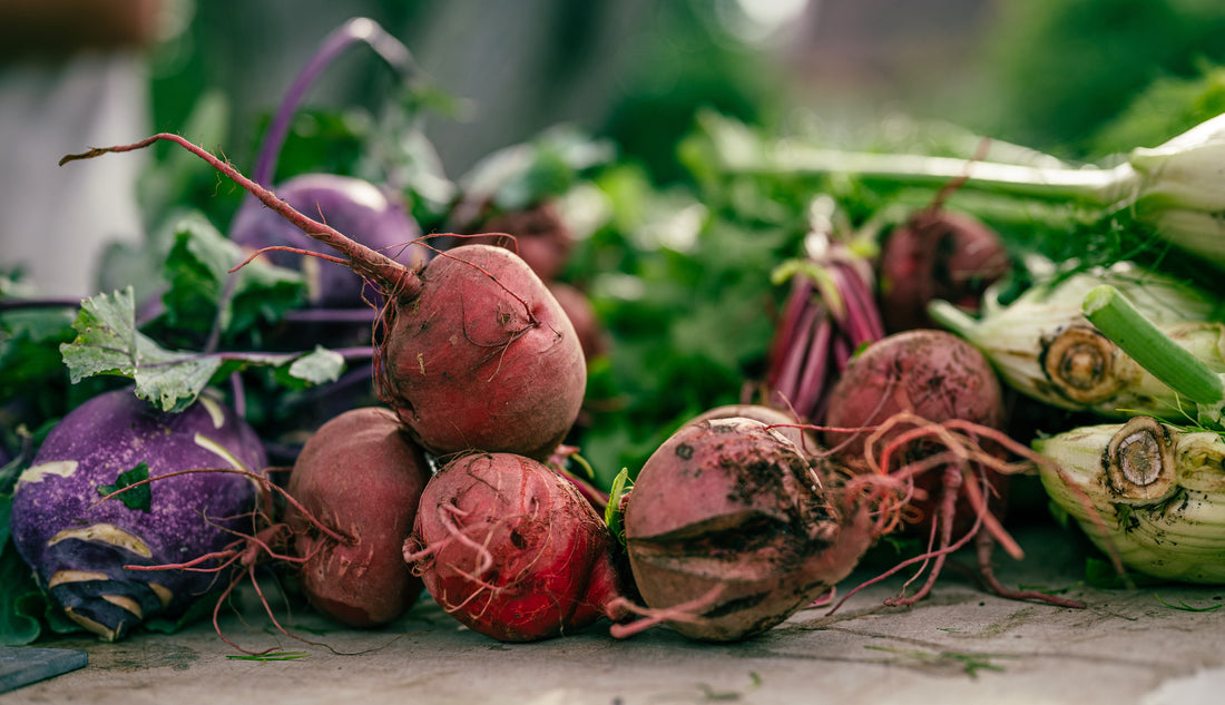 Beetroot: The Root of Wellness and Nutritional Powerhouse